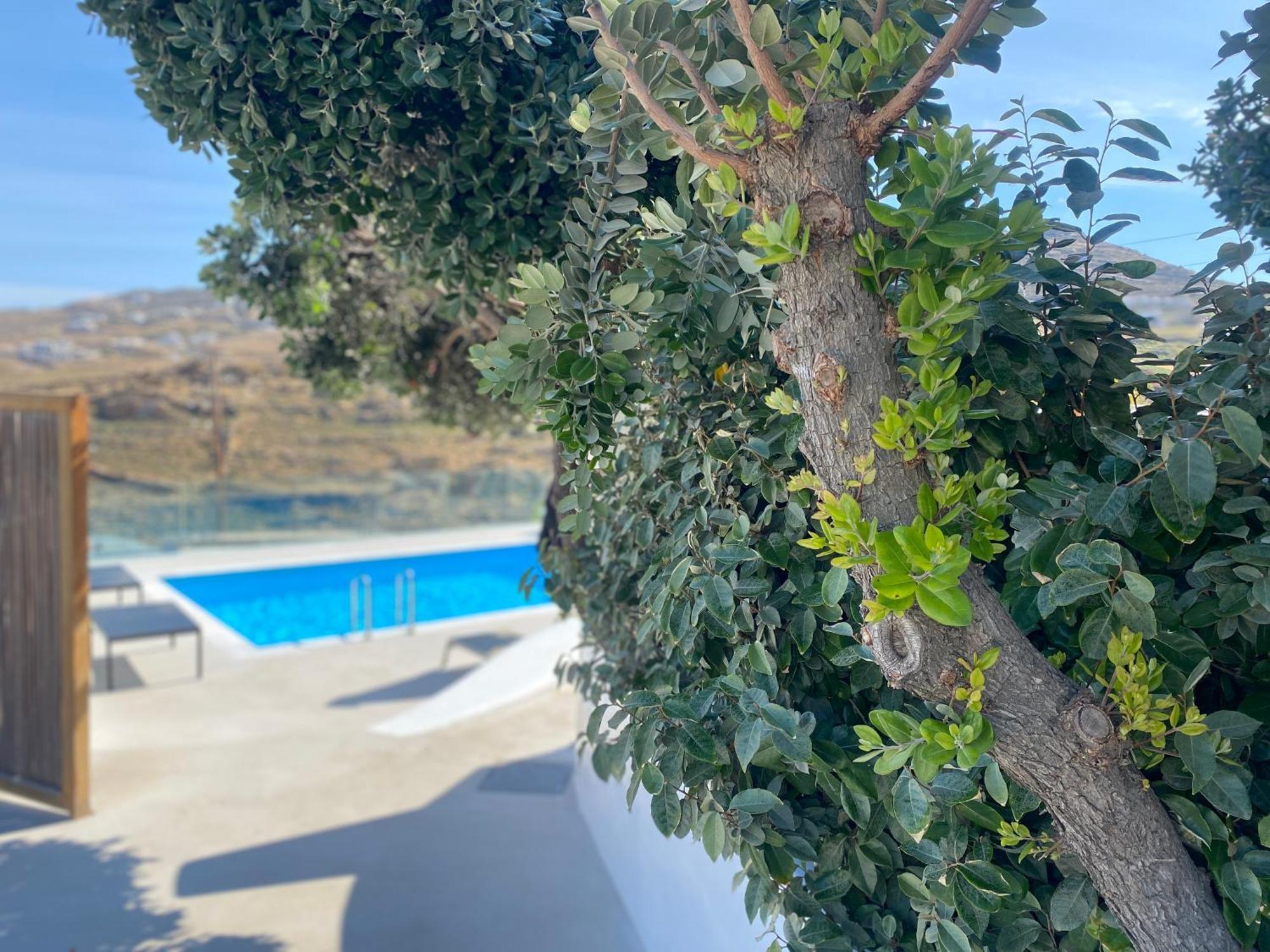 Ftelia Beach Paradise - Villa Irina'S Oasis Zewnętrze zdjęcie